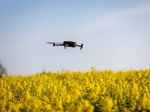 Drone Used For Farming to Collect Plant Data and Increase Crop Y